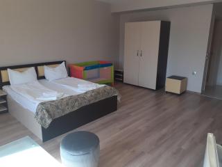 Alexander Hotel - Asenovgrad - 9