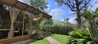 Exclusivo Cocora con Jacuzzi Salento Quindio - Salento - 3