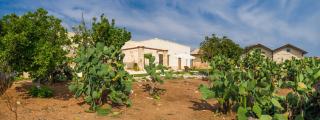 Falcon Home Country Resort, Salento - Lizzanello - 4