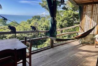 Sea view apartments close to the beach - Manuel Antonio - 7