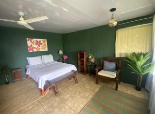 Sea view apartments close to the beach - Manuel Antonio - 2