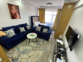 Executive studio unit - Nairobi - 7