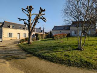 Gîte des Basses Rivières - Huismes - 8