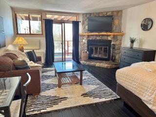 Lake View Ski in Ski out Lutsen Mtn Pets Welcome - 2