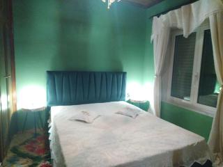 J&F village house - Arta - 1