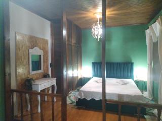 J&F village house - Arta - 3
