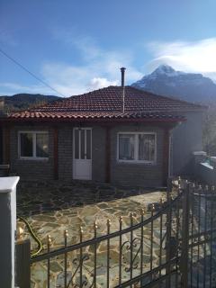 J&F village house - Arta - 9