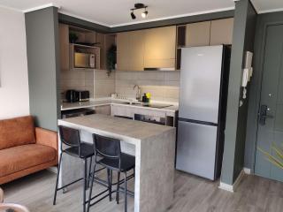 Incredible 2B1Br Oasis in Nunoa - Santiago - 4