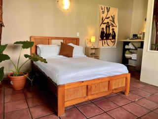 Sea View hotel lots of animals friendly hosts - Manuel Antonio - 4