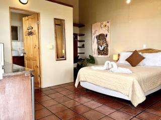 Sea View hotel lots of animals friendly hosts - Manuel Antonio - 7