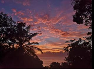 Sea View hotel lots of animals friendly hosts - Manuel Antonio - 3