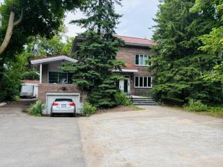 Sunlit Haven Apartment - Free Parking - 3