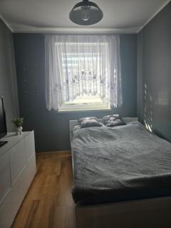 Apartament Grabskiego - Gorzów Wielkopolski - 3