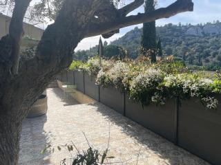 Agapi Mou - 2