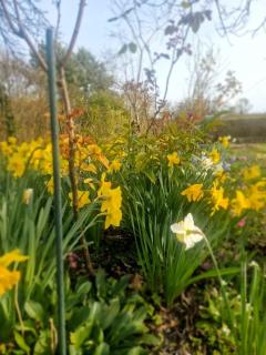 Grande Maison à la Campagne - 3