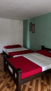 Finca hotel el guadual - Quimbaya - 6