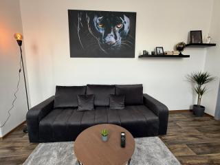 Apartmán Pardubice - Pardubice - 6