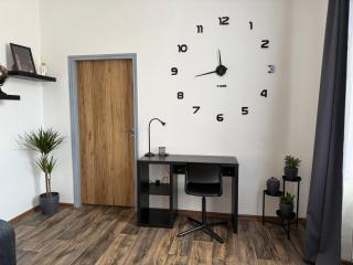 Apartmán Pardubice - Pardubice - 4