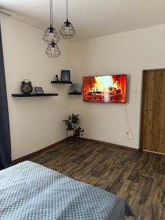 Apartmán Pardubice - Pardubice - 8