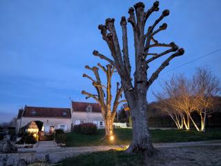 Gîte des Basses Rivières - Huismes - 6