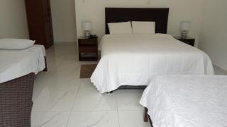 Hahn des Felsens - 6