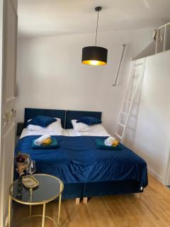 Queen Bee Apartments Cracow Old Town - 1