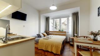 Apartmán u Špilberku Pellicova - Brno - 9
