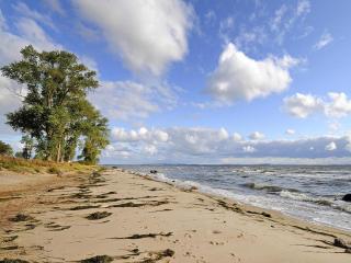 Gutshaus Zicker in Garz - 8