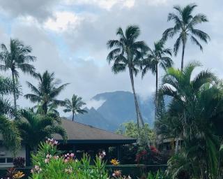 Princeville Townhouse Apt - Views, Pool, Near Hanalei! - 9