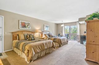 Wildcat Lair at the Safari Lodge - 0