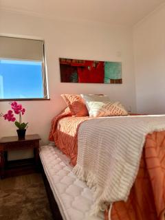 Moderno y Amplio - 0