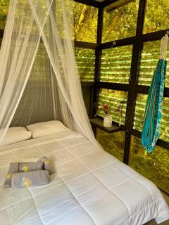Jungle Loft - Platanillo - 1