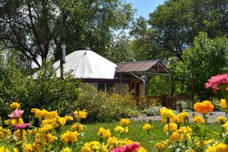 Stunning Yurt Rental for a Secluded Getaway near the Grand Mesa National Forest, Colorado - Paonia - 5