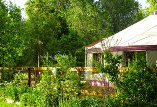 Stunning Yurt Rental for a Secluded Getaway near the Grand Mesa National Forest, Colorado - Paonia - 3