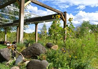Stunning Yurt Rental for a Secluded Getaway near the Grand Mesa National Forest, Colorado - Paonia - 2