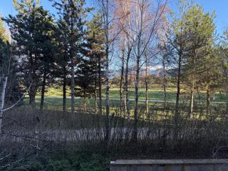 SPA, Ski and Golf all seasons huge apartament near Bansko - Razlog - 4
