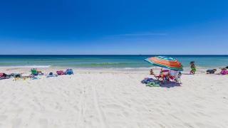 The Blue Mermaid - Gulf Shores - 3