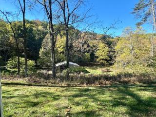 New Listing- Tecumseh Trail Cabin - Nashville - 2