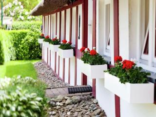Apartment with garden in Klütz - Klütz - 5