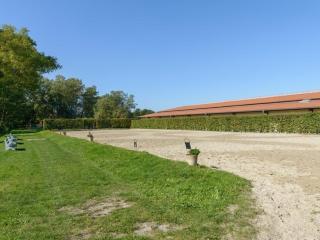 Holiday home on a horse farm - Eschede - 1