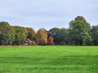 Holiday home with 4 bedrooms - Fischerhude - 4