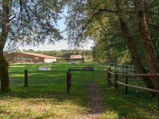 Holiday home on a horse farm in Heide - Eschede - 8