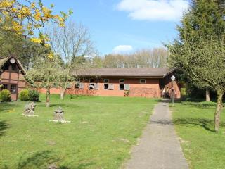 Apartment in Kirchdorf on a horse farm - - 6