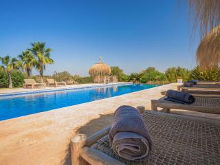 Stunning villa in Campos - Campos - 3