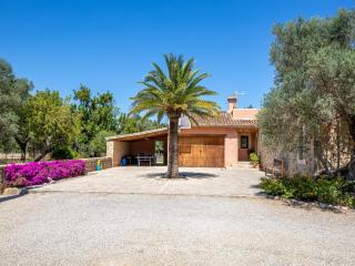 Country house near Platja de Muro - Selva - 5