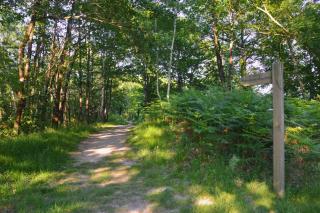 Gite de charme en Sologne, séjour en famille, jeux, nature & détente - Aubigny-sur-Nère - 7