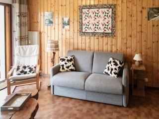 Sudio apartment in Chatel - Châtel - 9