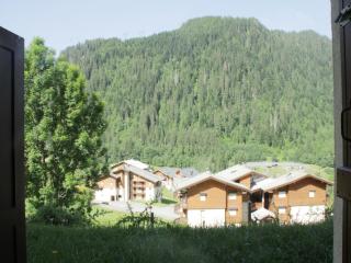 Apartment in Châtel with Stunning Mountain Views - Châtel - 1