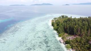 Coco Huts Guest House - Waisai - 9