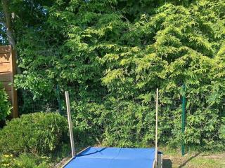Holiday home with 2 bedrooms - Halbemond - 4